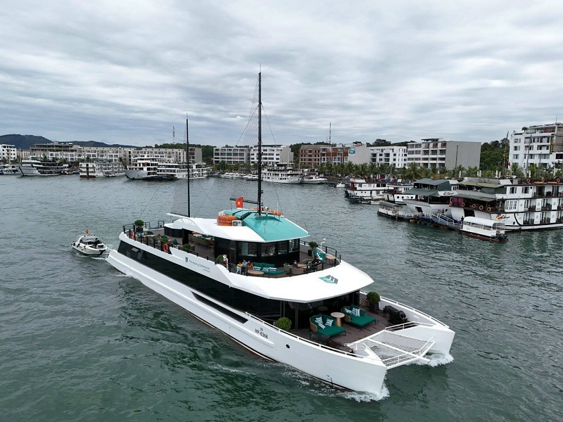 tour hạ long 1 ngày du thuyền Catamaran